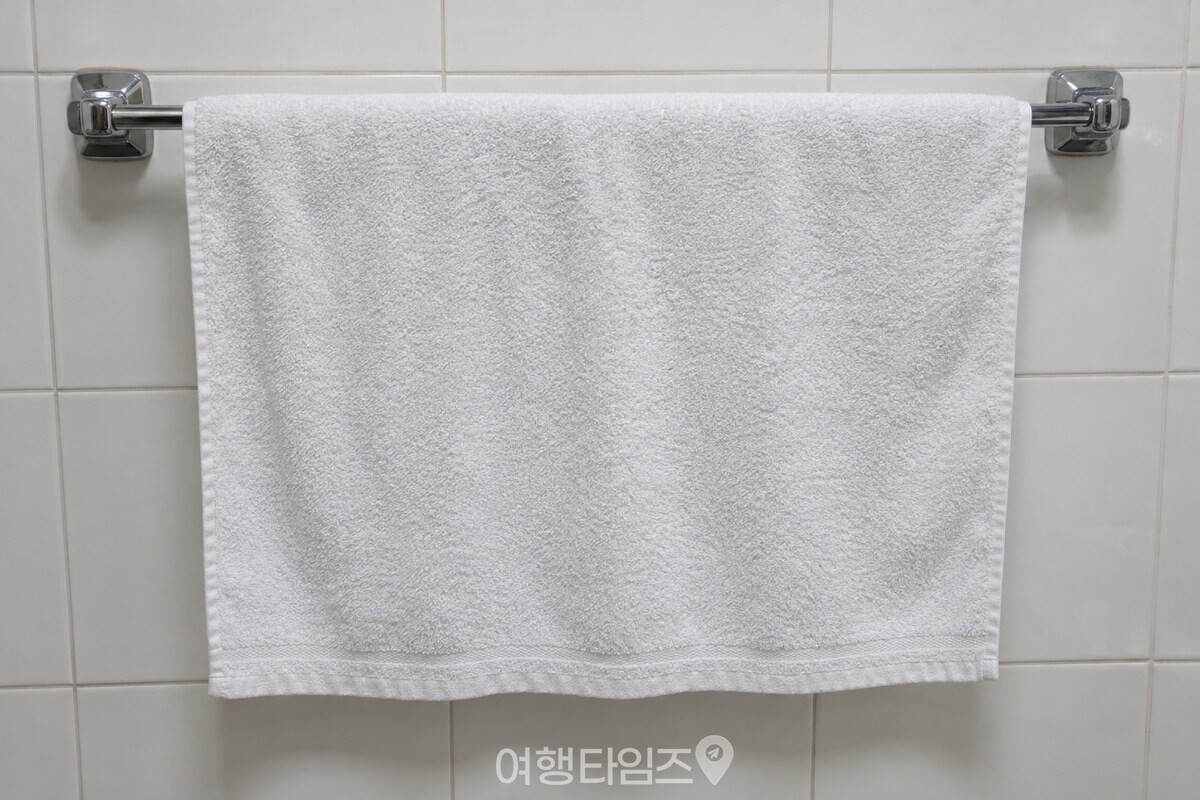 욕실 수건걸이에 수건 한 장을 접지 않고 활짝 펼쳐 걸어 두었다. / 기사 이해를 돕기 위한 생성형 이미지
