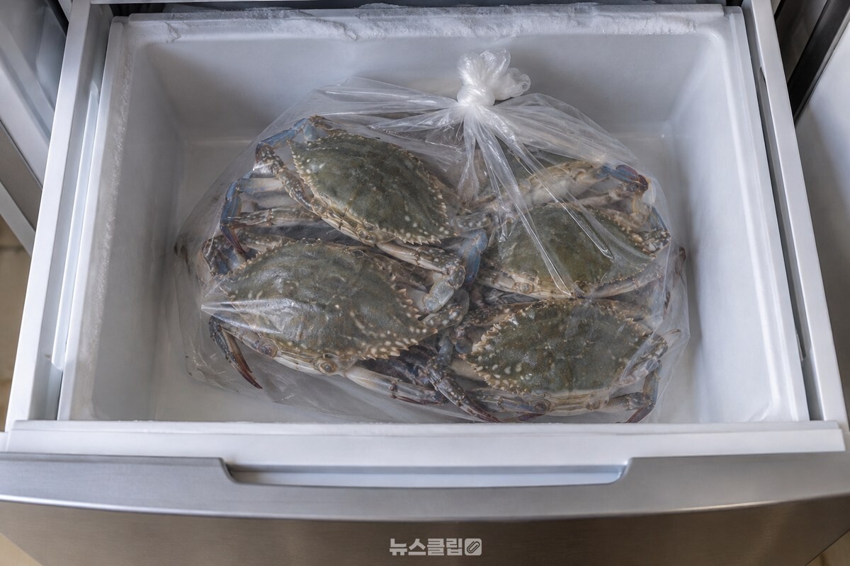 손질하지 않은 꽃게가 시장 봉지째 냉동실 칸에 들어가 있는 모습. / 기사 이해를 돕기 위한 생성형 이미지