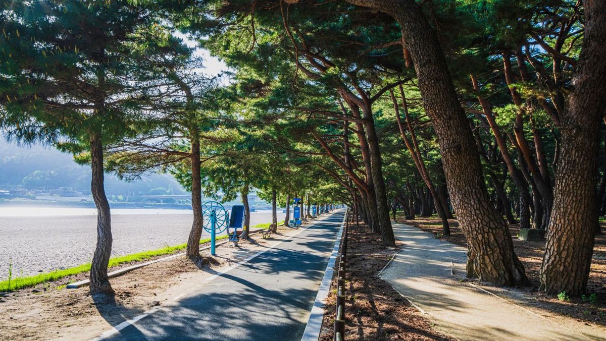하동송림공원 / 한국관광공사-김지호