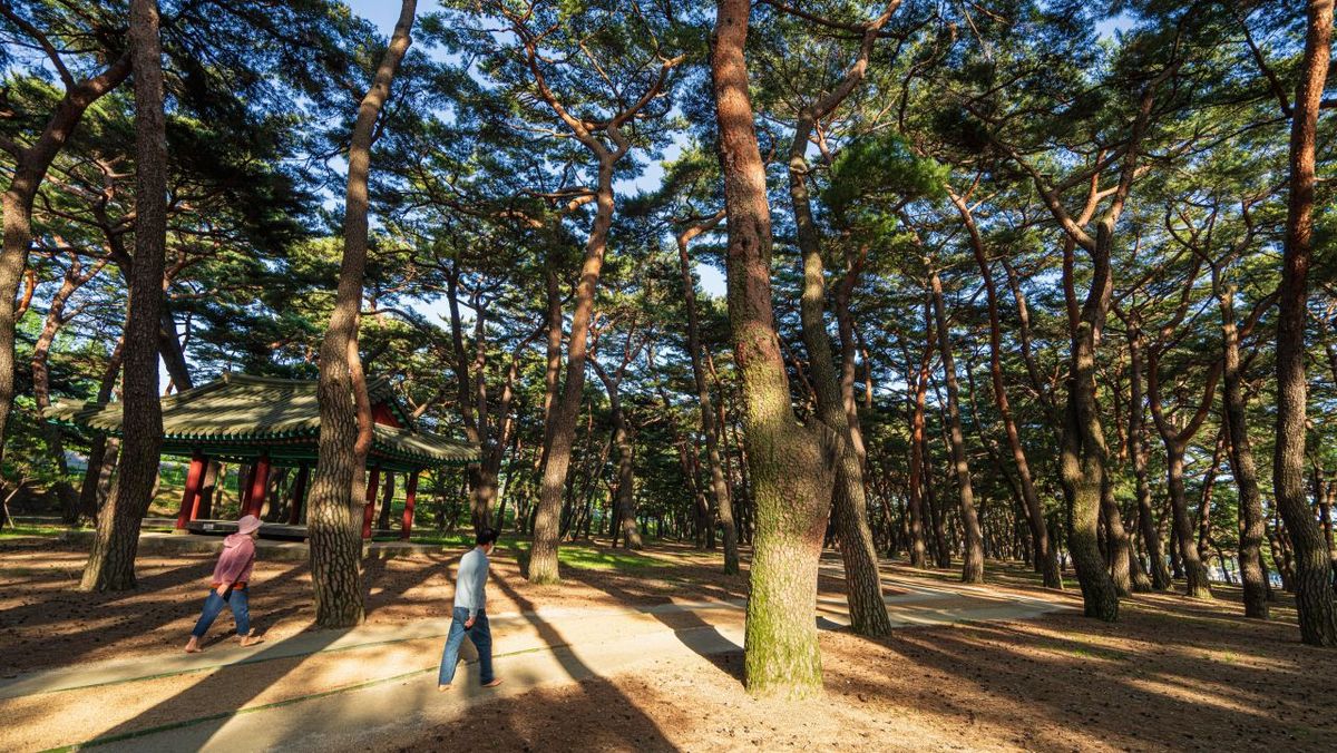 하동송림공원 / 한국관광공사-김지호