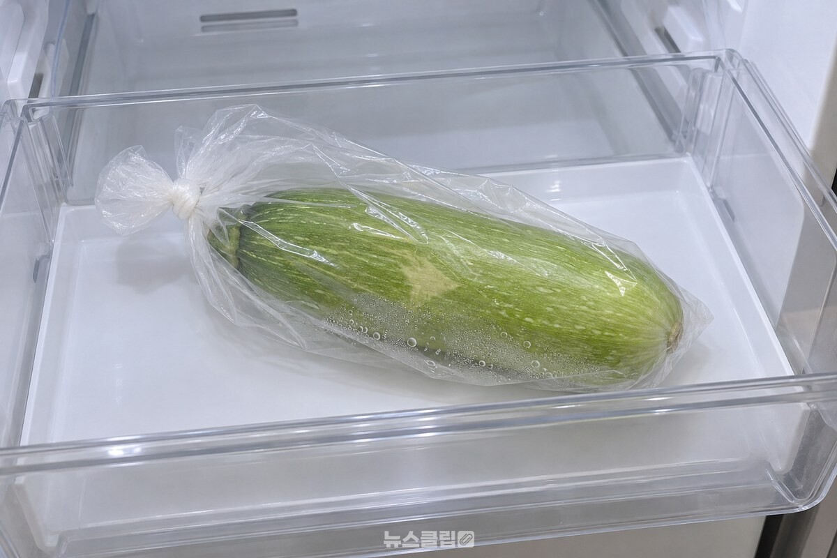 비닐봉지에 담긴 채로 냉장고 채소칸 안쪽에 놓인 애호박과 봉지 안쪽에 맺힌 물방울. / 기사 이해를 돕기 위한 생성형 이미지