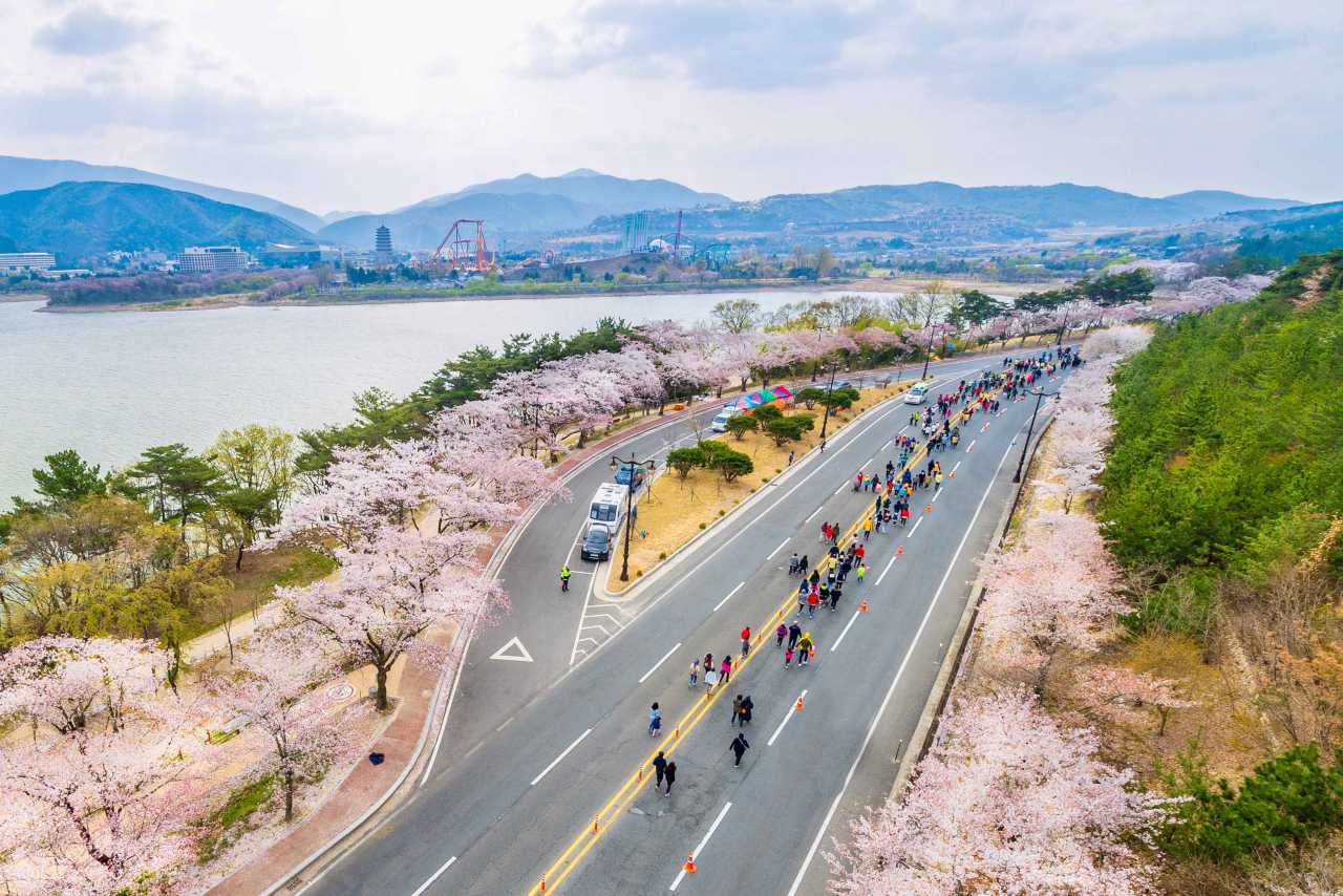 경주 보문호반길 / 사진=한국관광공사 포토코리아@이범수