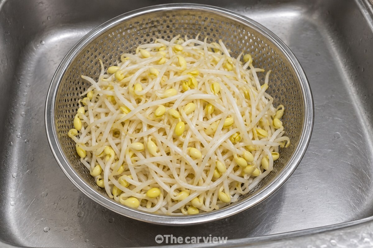 물기 없이 탄탄한 줄기와 노란 머리가 보이는 씻은 콩나물입니다. / 기사 이해를 돕기 위한 생성형 이미지