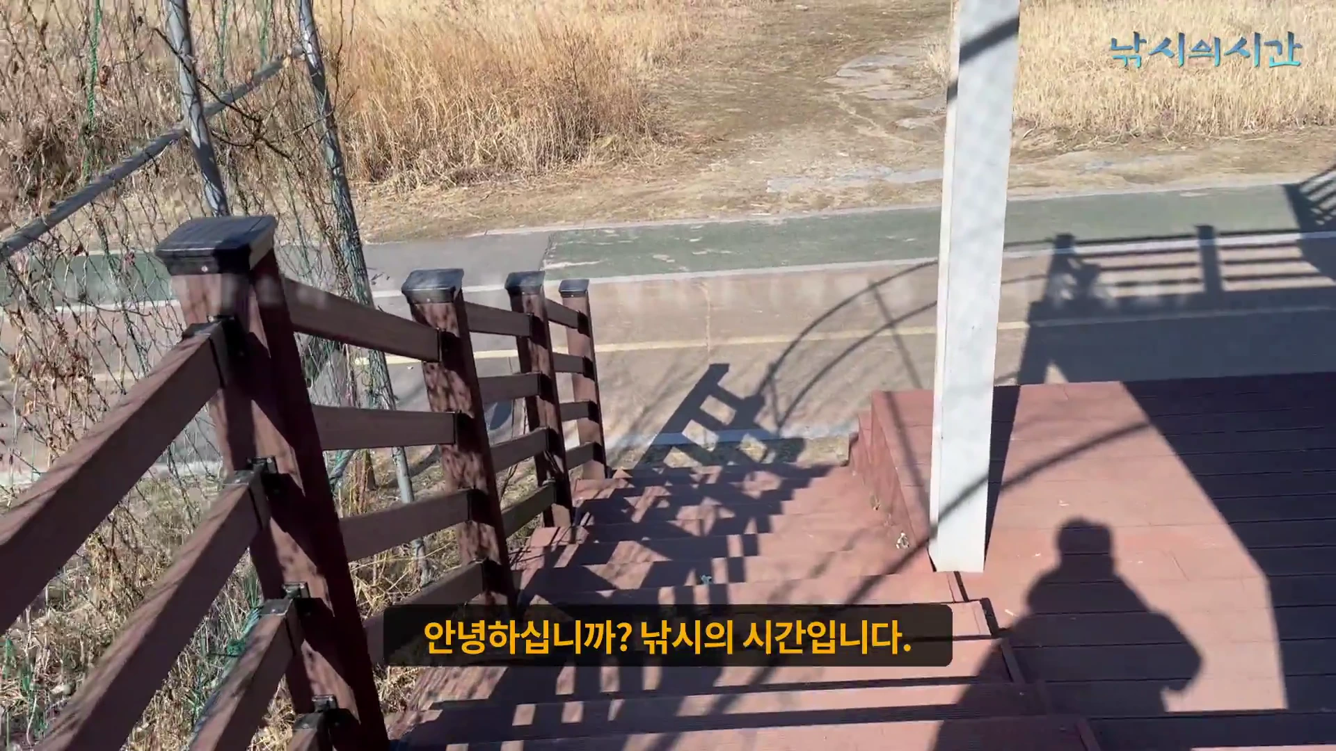 나무 계단 위에서 아래로 내려다본 야외 낚시터 주변 산책로의 모습으로, 한낮의 강한 햇빛이 만들어내는 그림자가 길게 드리워져 있습니다.