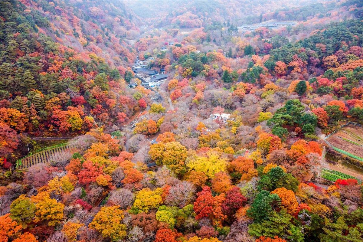 가야산의 가을 / 한국관광공사-김범용