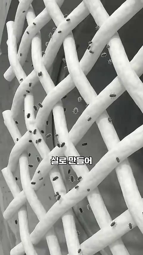 실이 촘촘하게 엮인 그물망 구조에 작은 벌레 같은 미생물들이 달라붙어 있는 모습을 보여주는 교육용 그래픽 영상입니다.