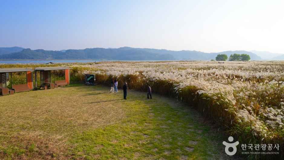 서천 다양하게 즐기기 / 사진=한국관광공사