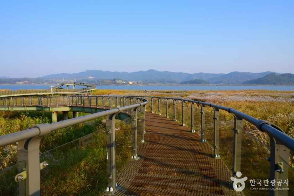 신성리 갈대밭 산책길 코스 / 사진=한국관광공사