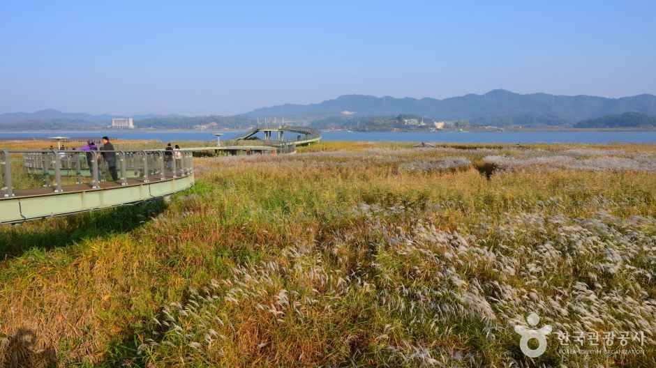 입장 & 주차 모두 무료 / 사진=한국관광공사