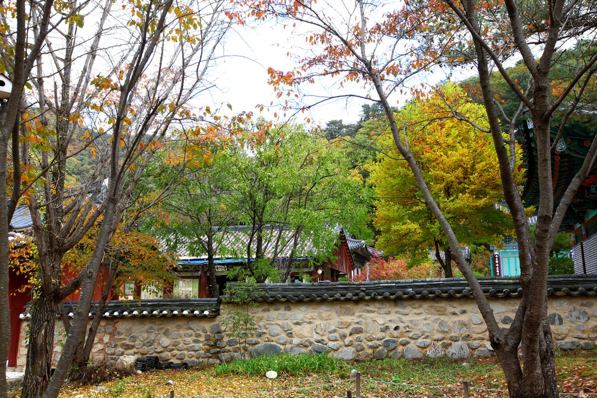 홍천 수타사 / 한국관광공사-이범수
