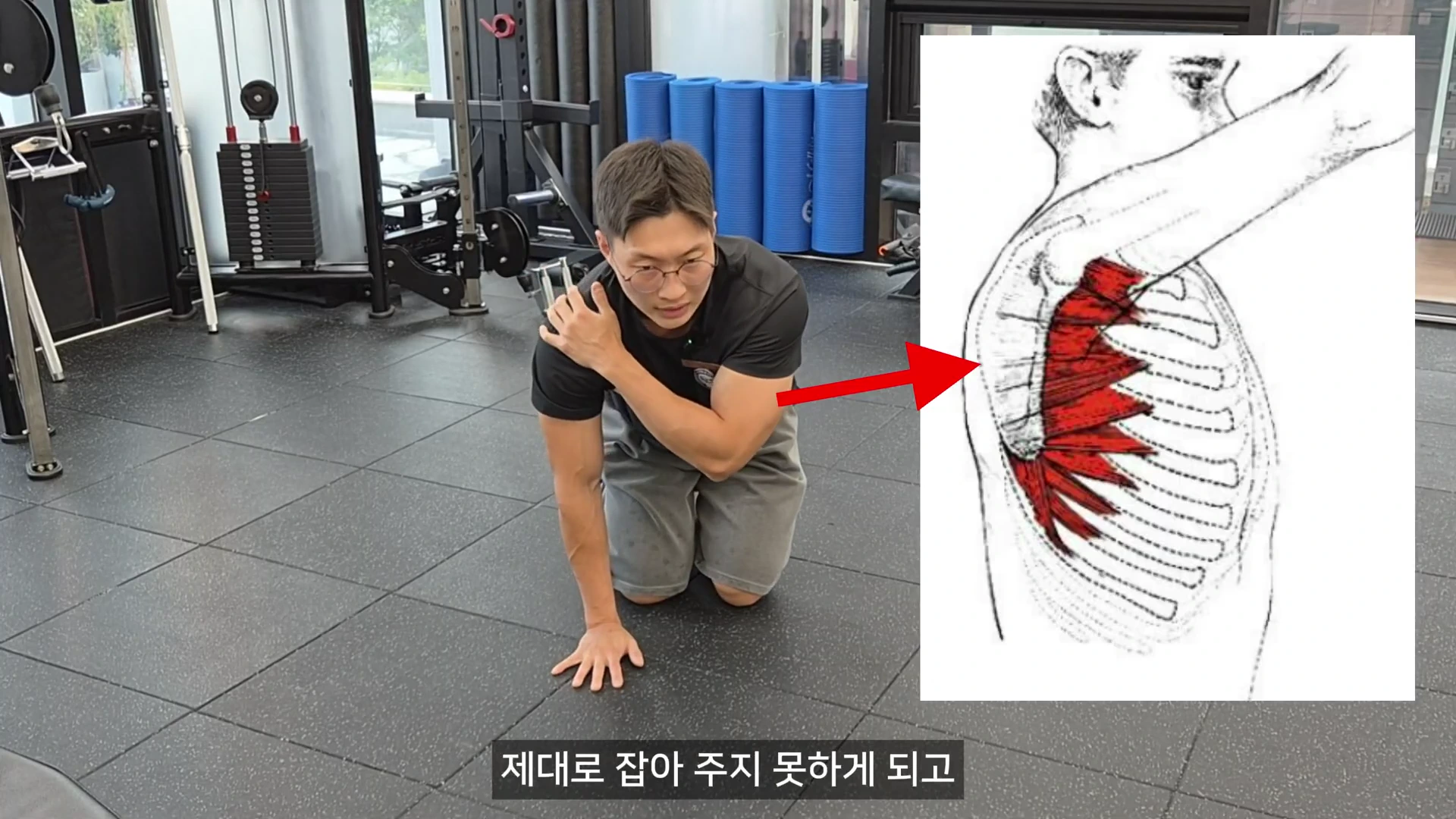 운동복 차림의 남성이 헬스장에서 무릎을 꿇고 한 손을 어깨에 얹고 있는 모습 옆으로 전거근의 위치를 빨간색으로 표시한 해부학 그림이 합성되어 있다.
