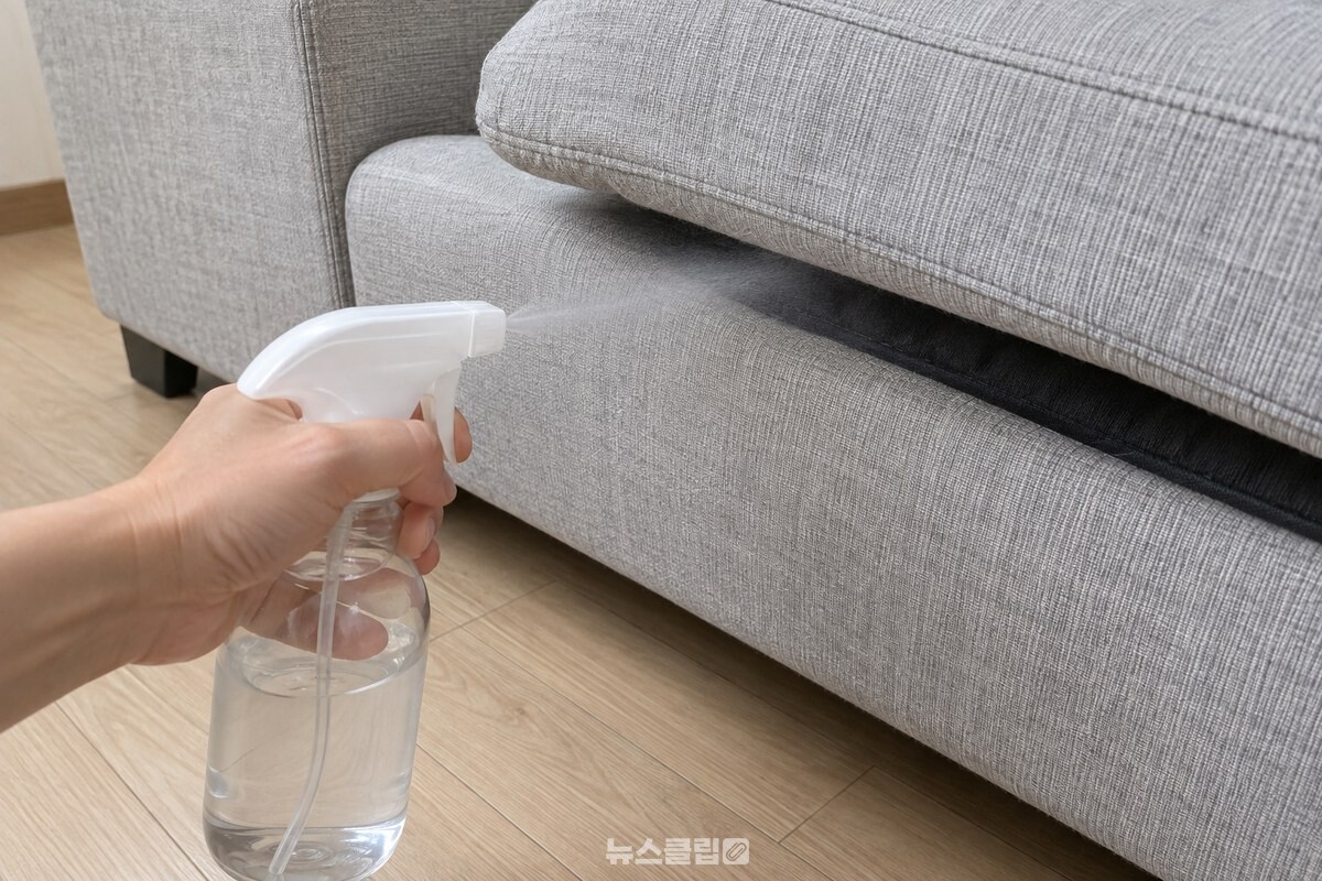 소파 쿠션 아래쪽 천에 분무기를 20~30cm 떨어뜨려 가볍게 뿌리는 모습 / 기사 이해를 돕기 위한 생성형 이미지
