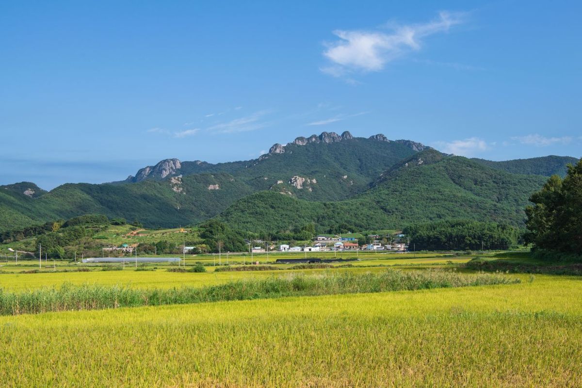 팔영산 / 한국관광공사-배근한