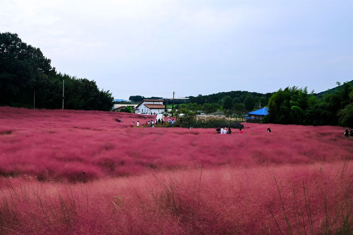 고창 청농원 / 한국관광공사-김찬영