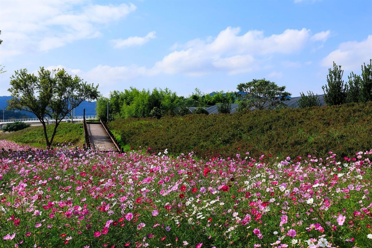 무안 식영정 / 한국관광공사-김찬영