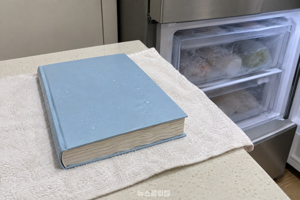 마른 수건 위에 놓인 젖은 책의 표지와 살짝 물결진 종이 가장자리. / 기사 이해를 돕기 위한 생성형 이미지