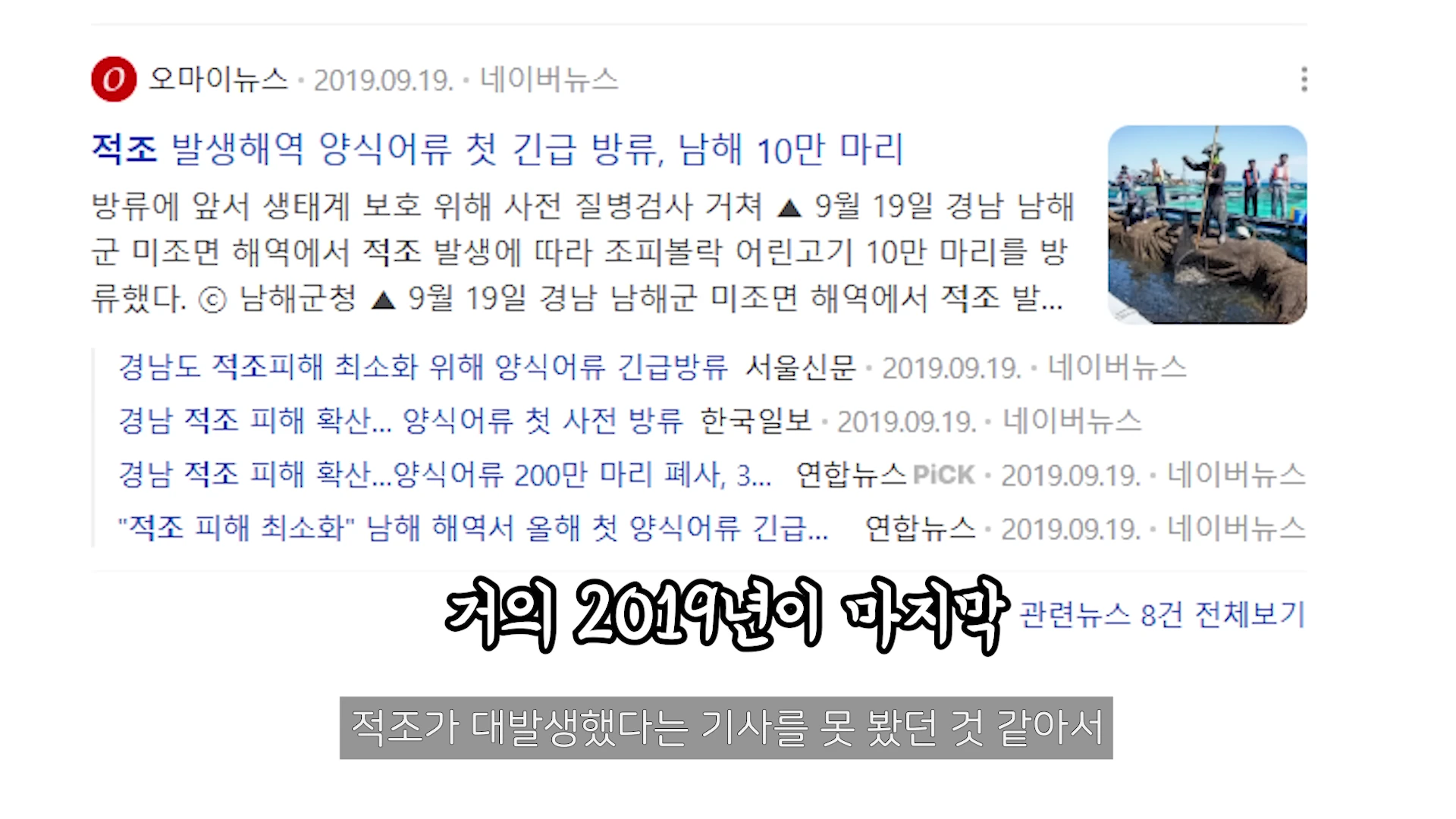 인터넷 뉴스 검색 결과 화면이 캡처되어 있으며 적조 피해에 관한 여러 기사 제목과 작은 이미지들이 나열되어 있다.