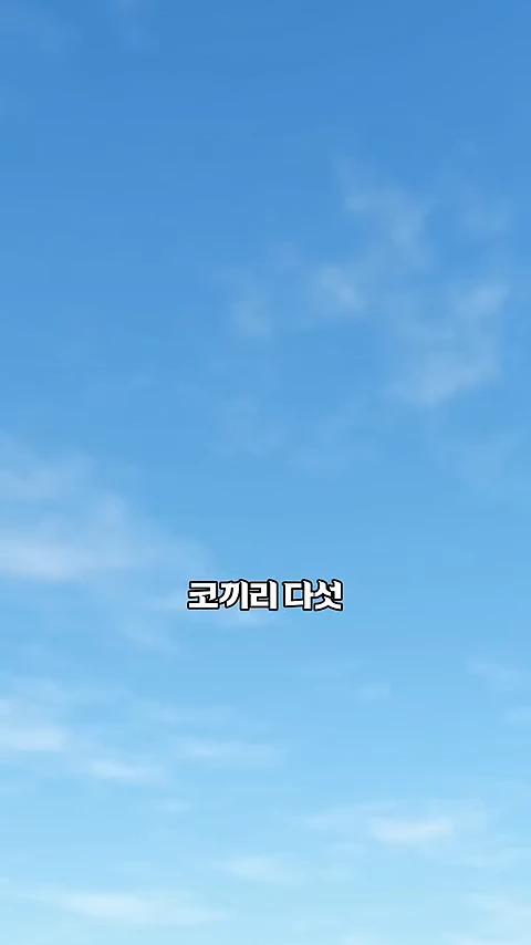 푸른 하늘 배경 중앙에 '코끼리 다섯'이라는 흰색 자막이 적혀 있는 영상 화면.