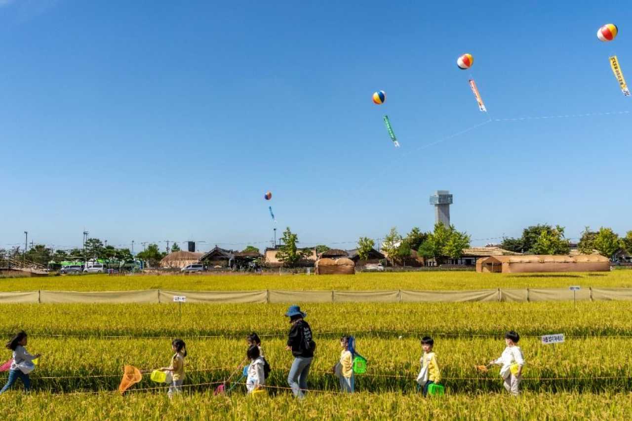 2026 김제지평선축제(사진은 지난 시즌 모습) / 사진=한국관광공사