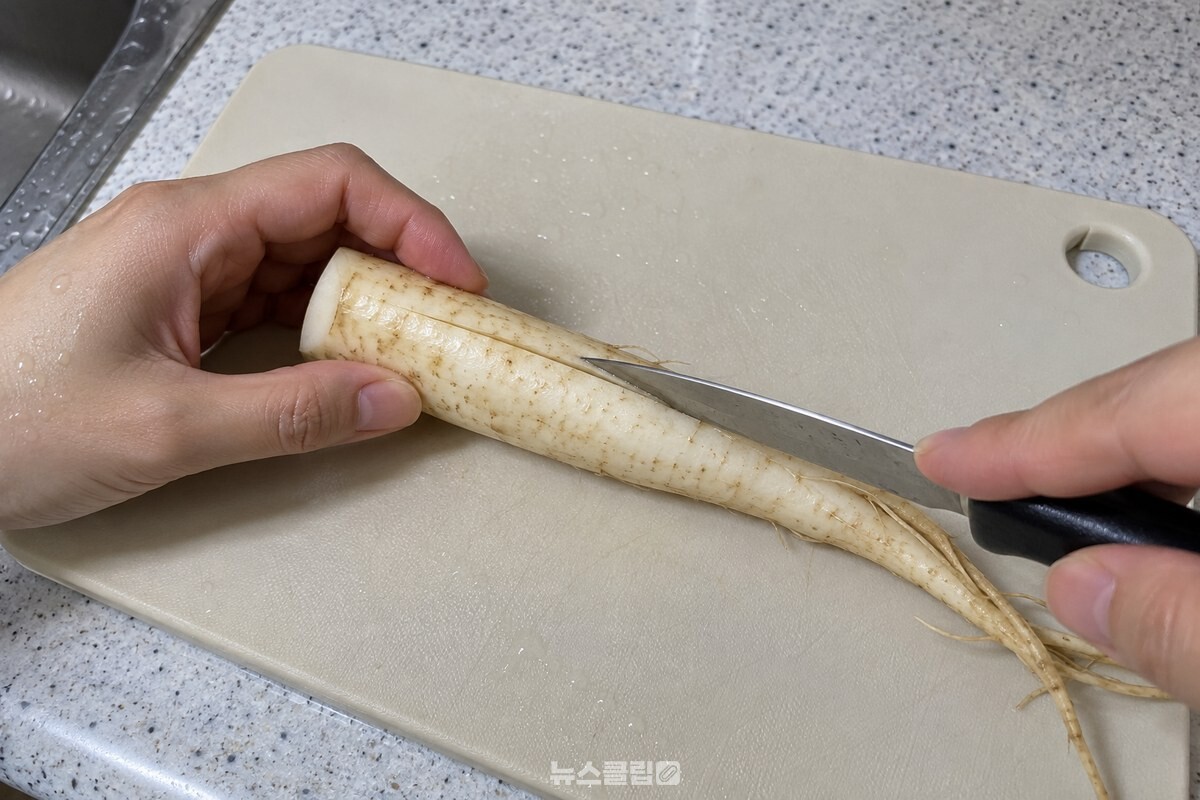 뇌두를 짧게 잘라 낸 통도라지 몸통에 세로 칼집을 한 줄 넣는 모습. / 기사 이해를 돕기 위한 생성형 이미지