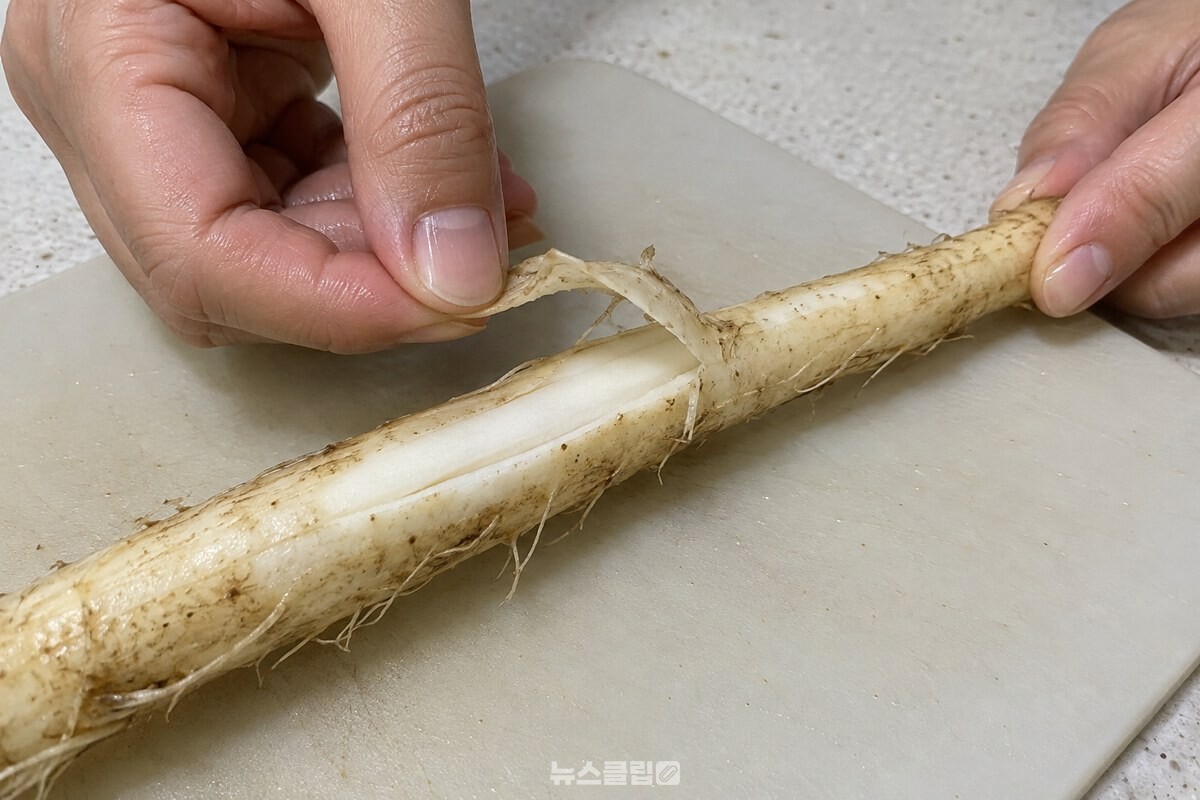 세로 칼집을 낸 통도라지의 껍질을 손가락으로 옆으로 밀어 벗기는 모습. / 기사 이해를 돕기 위한 생성형 이미지