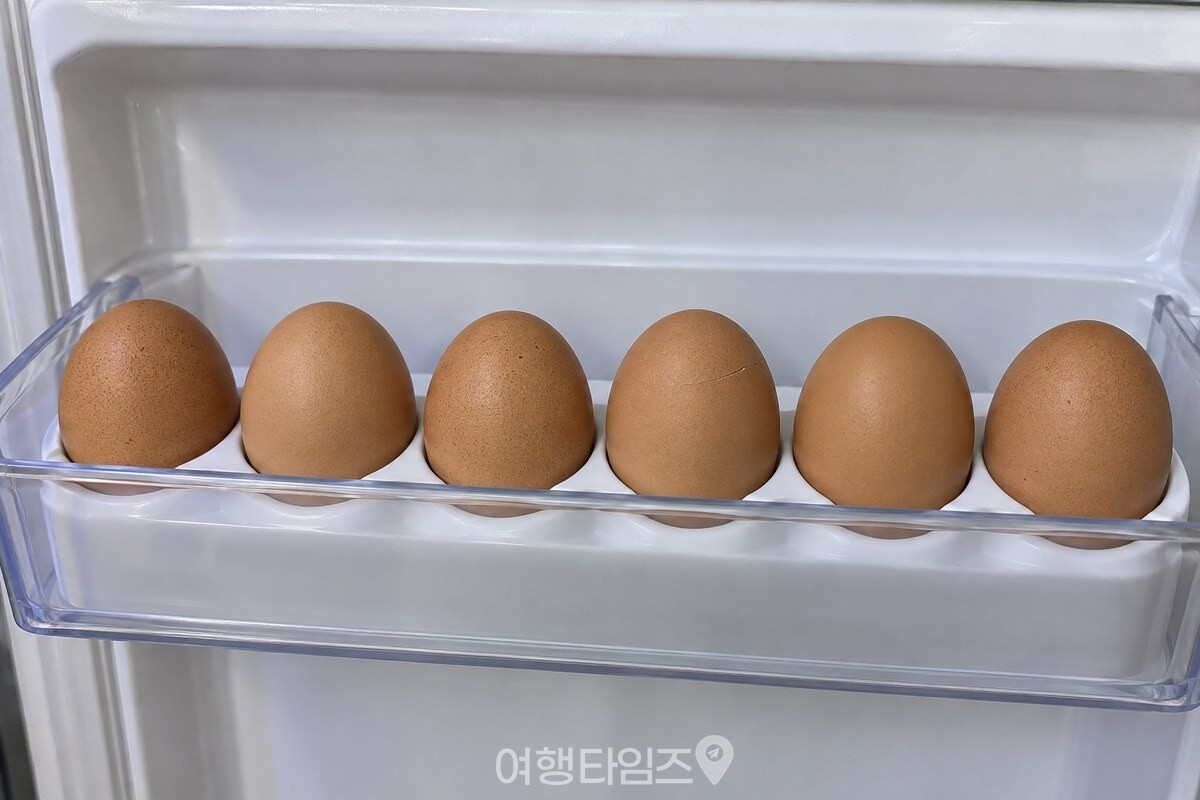 냉장고 문 안쪽의 계란칸에 계란이 한 개씩 세워져 있는 모습. / 기사 이해를 돕기 위한 생성형 이미지