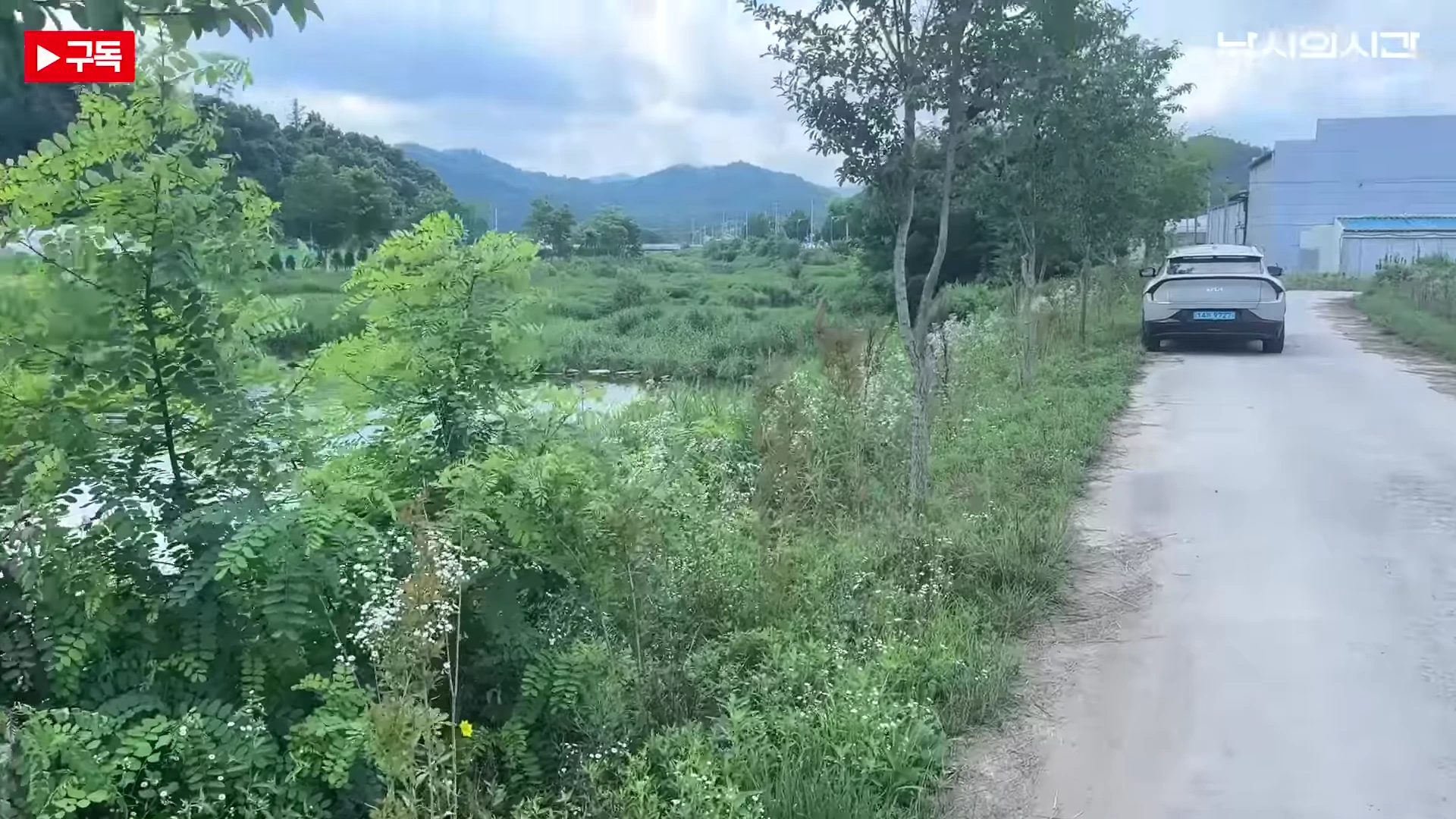 푸른 수풀과 나무가 우거진 괴산의 수로 옆 좁은 길에 은색 승용차가 세워져 있는 모습