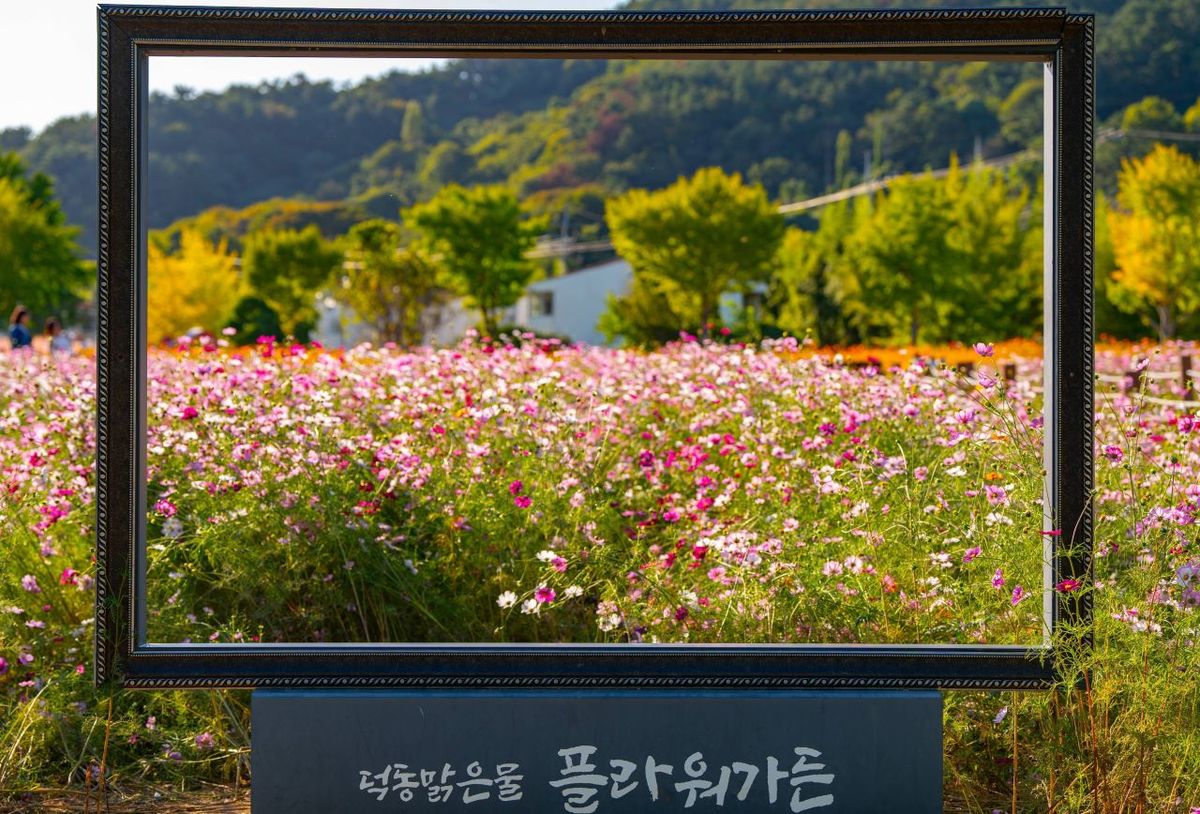 덕동맑은물플라워가든 / 한국관광공사-송희재