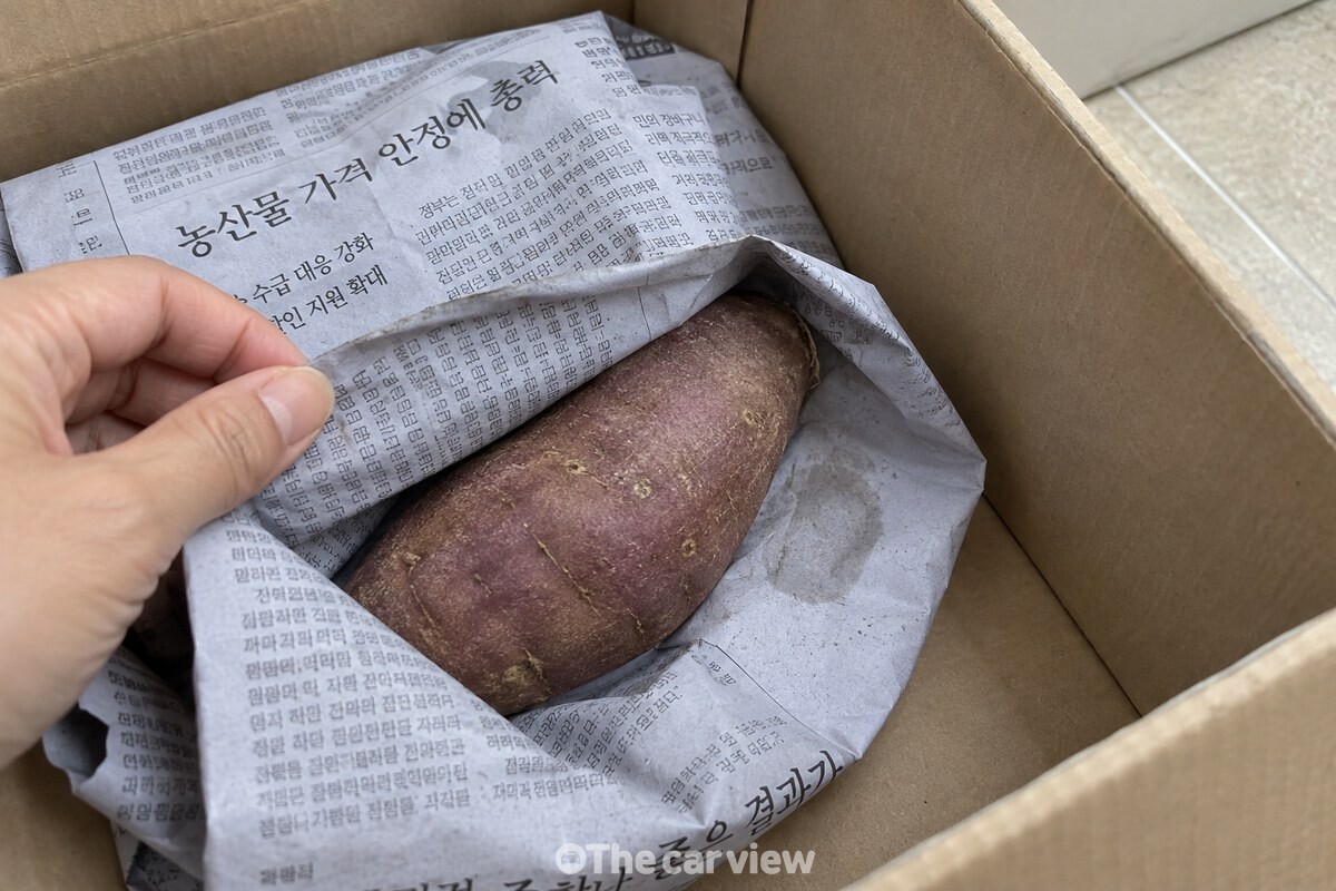 신문지에 감싼 고구마 한 개의 껍질 가까이에만 옅은 습기가 보이고, 나머지 신문지와 상자는 깨끗하고 마른 상태다. / 기사 이해를 돕기 위한 생성형 이미지