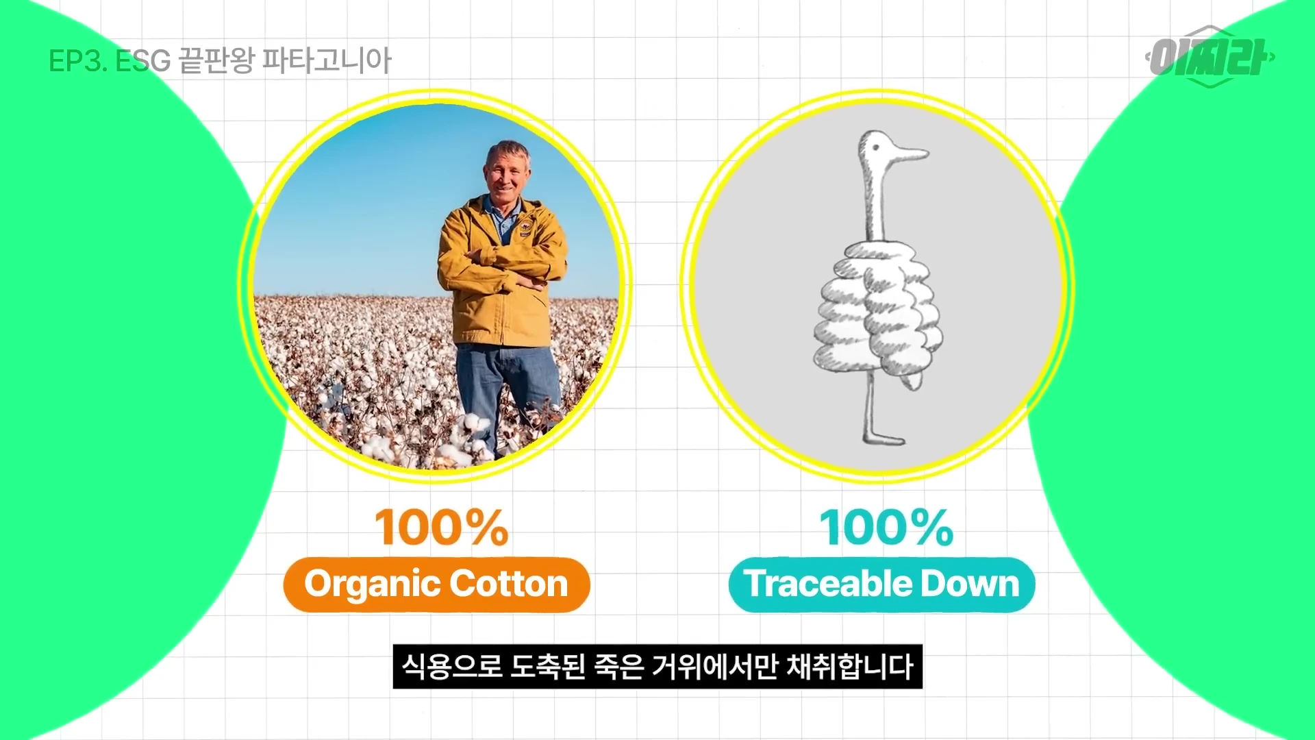 두 개의 원형 프레임 안에 유기농 목화밭에 서 있는 남성과 거위 일러스트가 나란히 배치된 그래픽 이미지