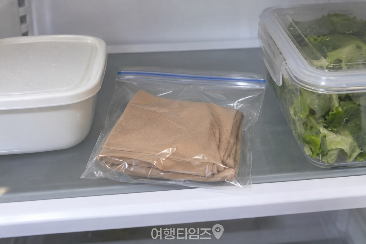 새 스타킹을 지퍼 비닐 팩에 넣어 냉장실 선반에 둔 모습. / 기사 이해를 돕기 위한 생성형 이미지
