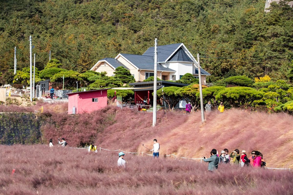 꽃객프로젝트 / 한국관광공사-이범수