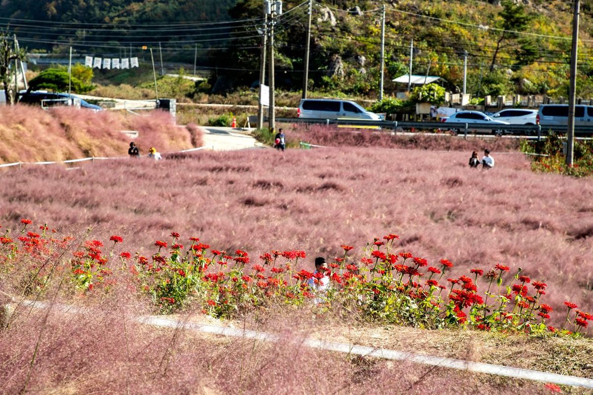 꽃객프로젝트 / 한국관광공사-이범수