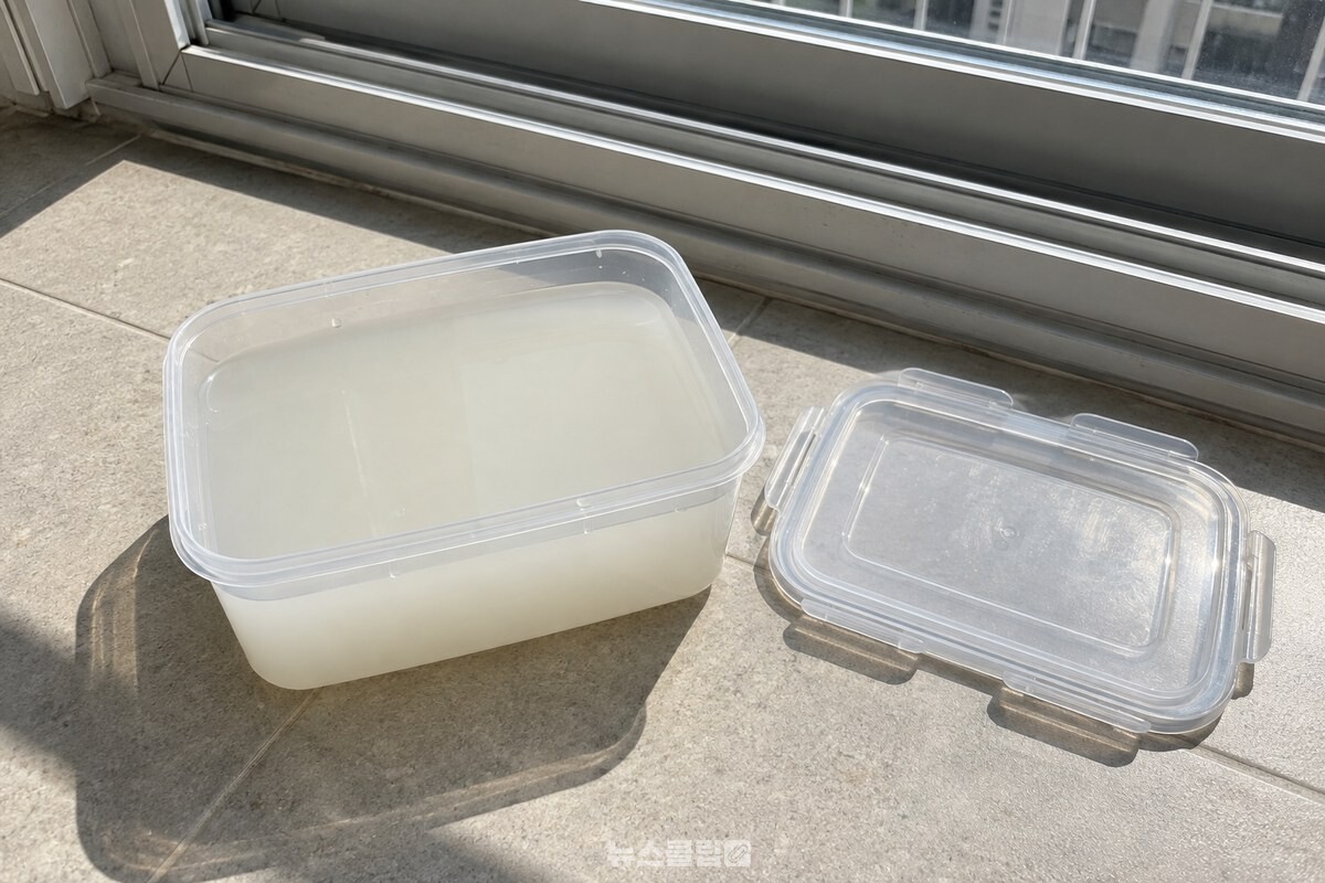 쌀뜨물을 채운 반찬통의 뚜껑을 벗겨 옆에 두고 햇빛이 드는 베란다 바닥에 놓았다. / 기사 이해를 돕기 위한 생성형 이미지