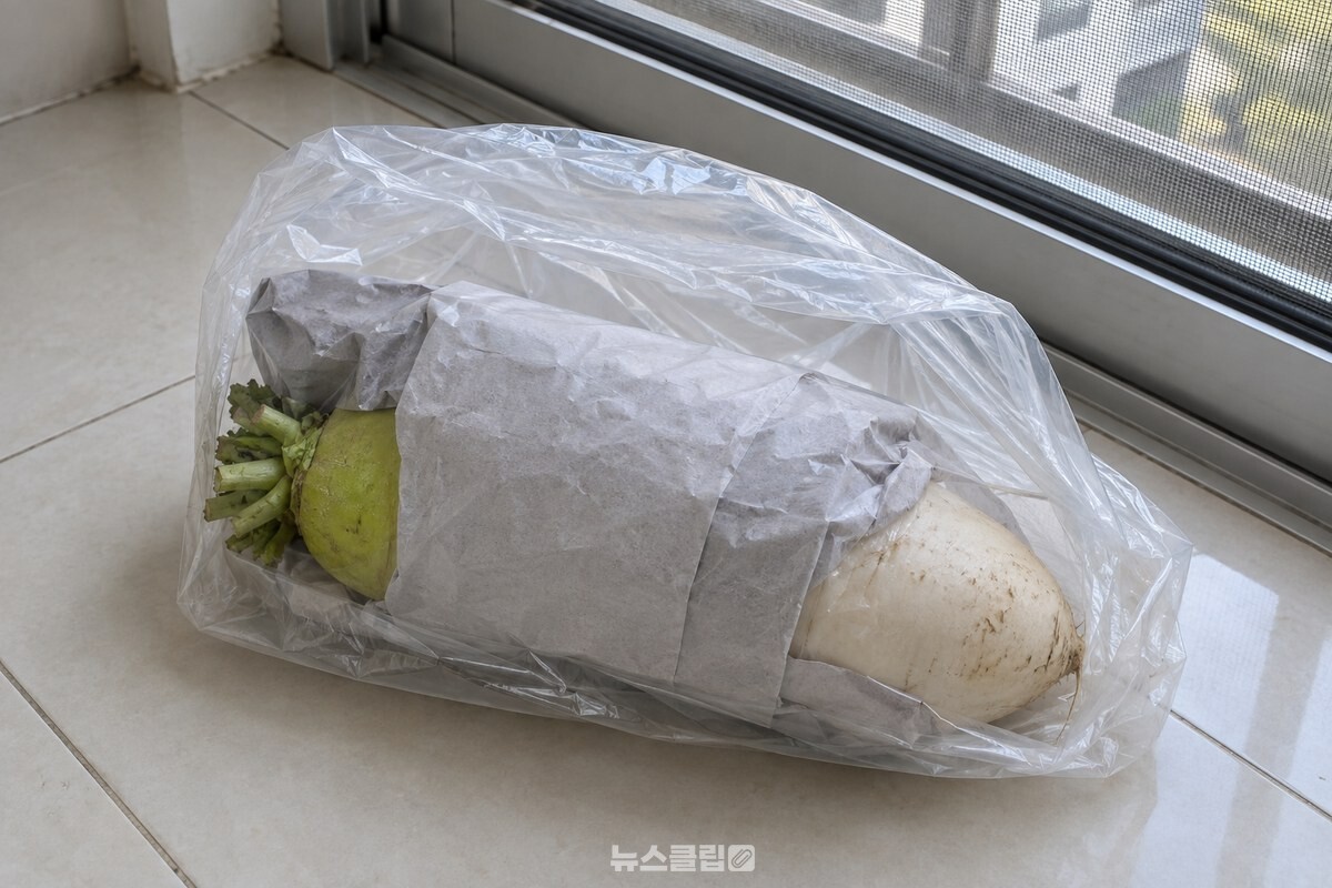신문지로 싼 무를 비닐봉지에 넣고 입구를 느슨하게 접어 둔 모습. / 기사 이해를 돕기 위한 생성형 이미지