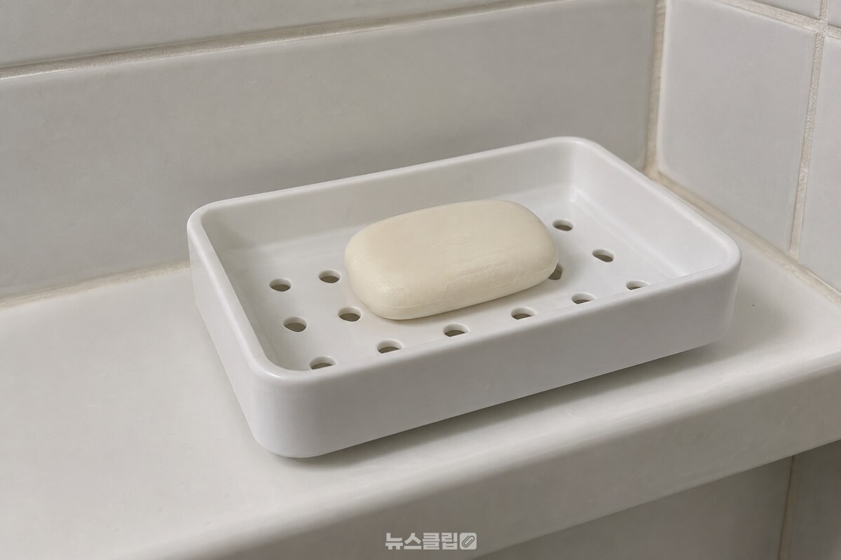 물 빠짐 구멍이 있는 비누받침 위에 작은 비누 한 조각을 올려 둔 모습. / 기사 이해를 돕기 위한 생성형 이미지