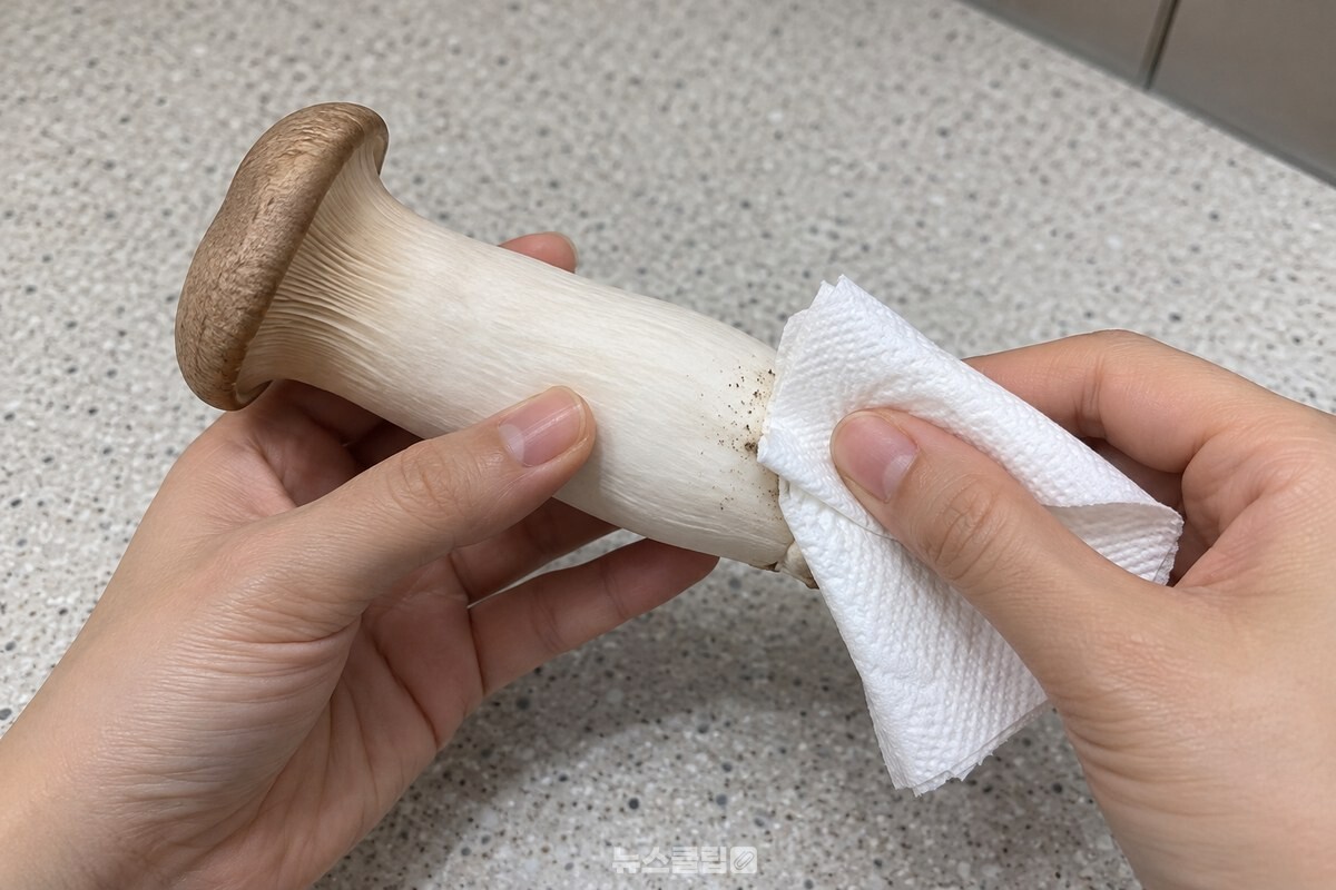 마른 종이로 새송이버섯 표면의 흙을 가볍게 닦아 내는 모습 / 기사 이해를 돕기 위한 생성형 이미지