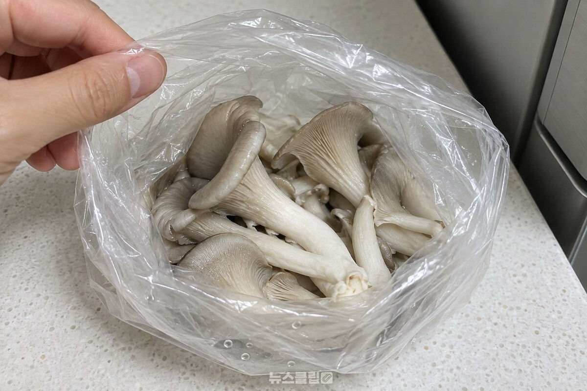 물에 씻은 버섯이 비닐봉지 안에서 물방울과 닿아 있는 모습 / 기사 이해를 돕기 위한 생성형 이미지