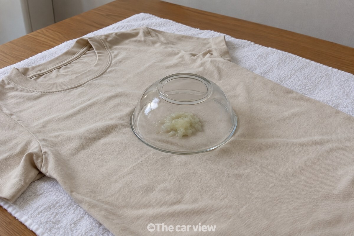 간 양파를 올린 티셔츠 위를 투명한 접시로 덮어 둔 모습. / 기사 이해를 돕기 위한 생성형 이미지