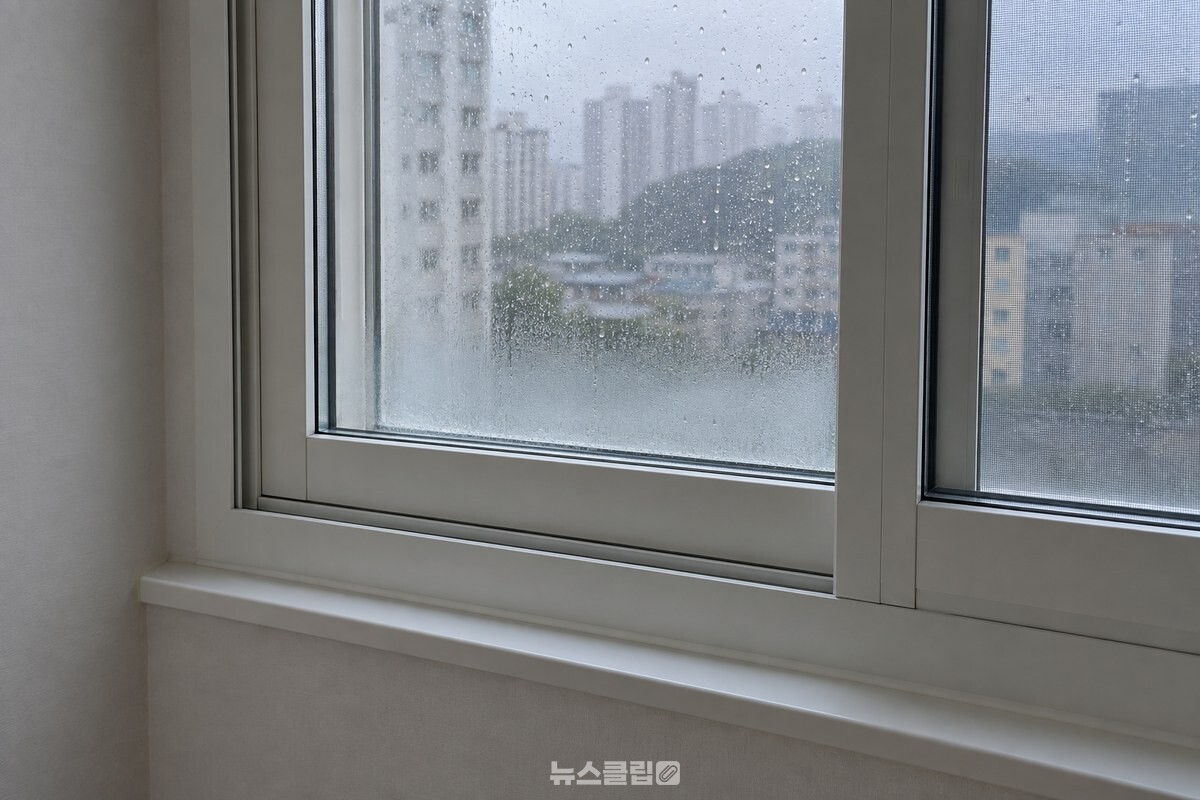 비 오는 날 닫힌 미닫이 창 안쪽 유리에 옅은 김이 보이는 깨끗한 방 창가. / 기사 이해를 돕기 위한 생성형 이미지