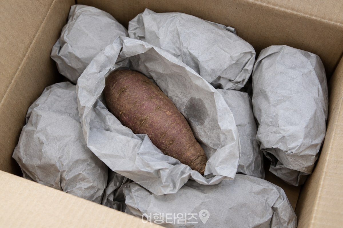 마른 고구마를 신문지로 감싼 상자 안에 종이 사이의 습기가 한쪽에만 옅게 보인다. / 기사 이해를 돕기 위한 생성형 이미지
