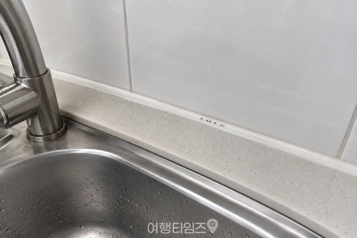 싱크대 벽과 조리대가 만나는 흰 실리콘 이음새에 작은 검은 점이 보이는 모습 / 기사 이해를 돕기 위한 생성형 이미지