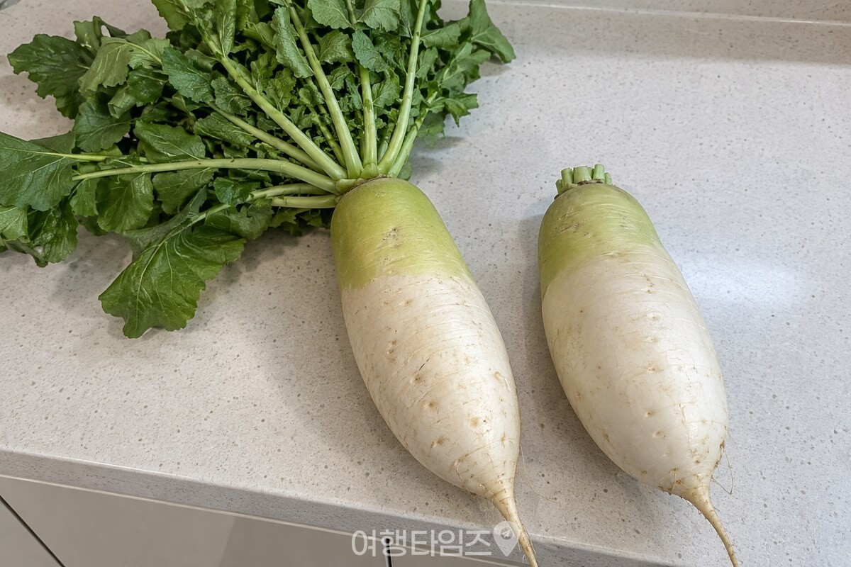 잎이 달린 무와 잎을 잘라낸 무를 나란히 놓아 보관 전 차이를 보여 주는 모습. / 기사 이해를 돕기 위한 생성형 이미지