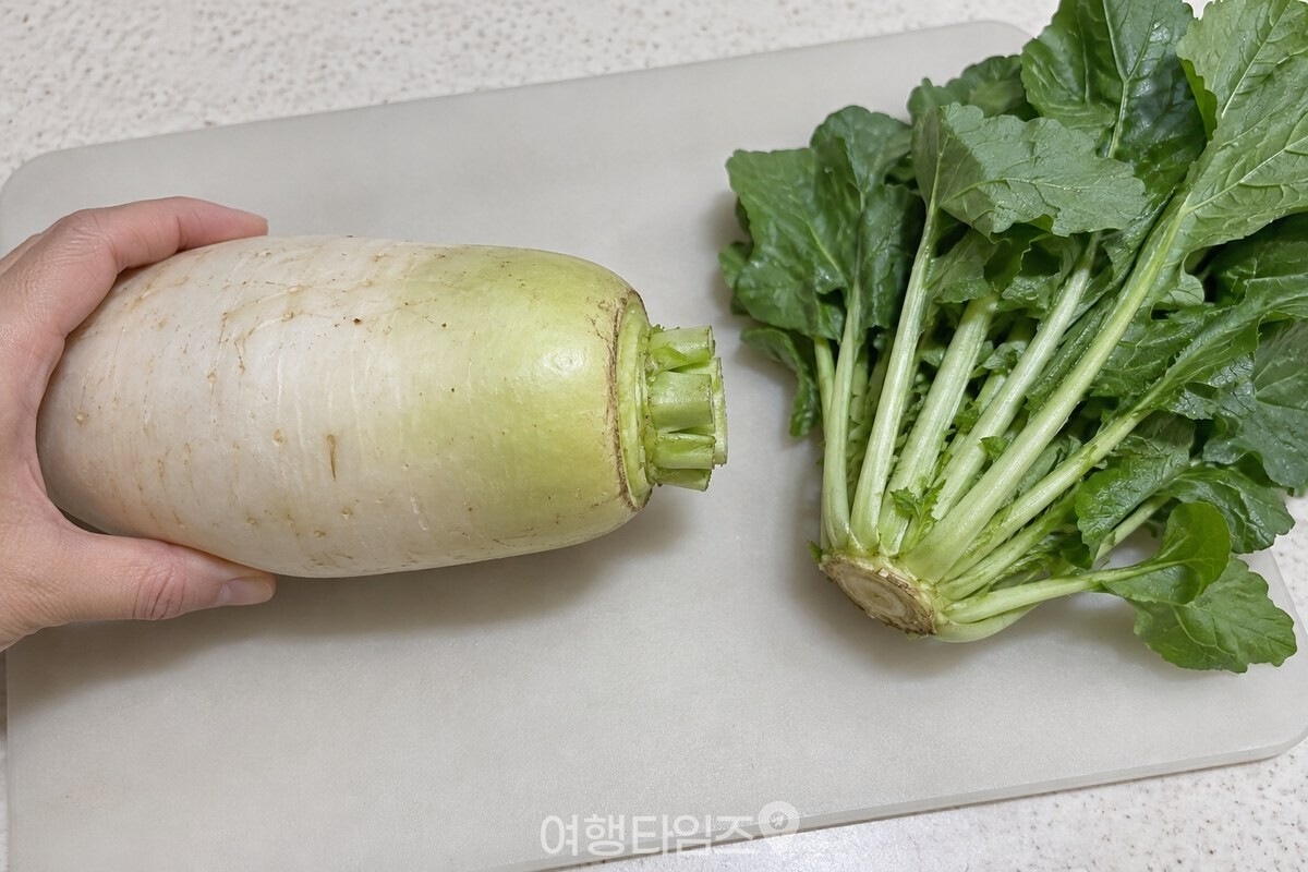 무 몸통에서 잎 밑동을 조금 남기고 자른 뒤의 단면과 무청. / 기사 이해를 돕기 위한 생성형 이미지