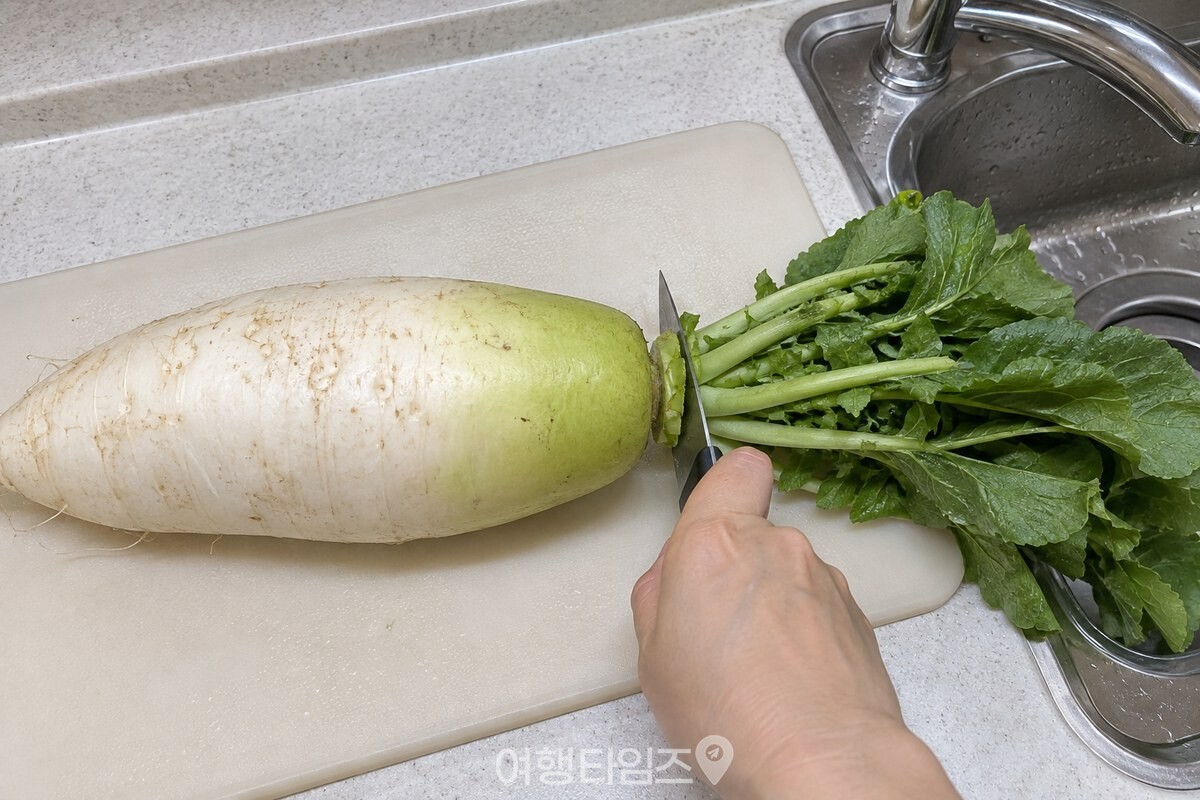 무청이 달린 가을 무 한 개를 도마 위에서 잎 밑동 1~2cm 위로 자르는 모습. / 기사 이해를 돕기 위한 생성형 이미지