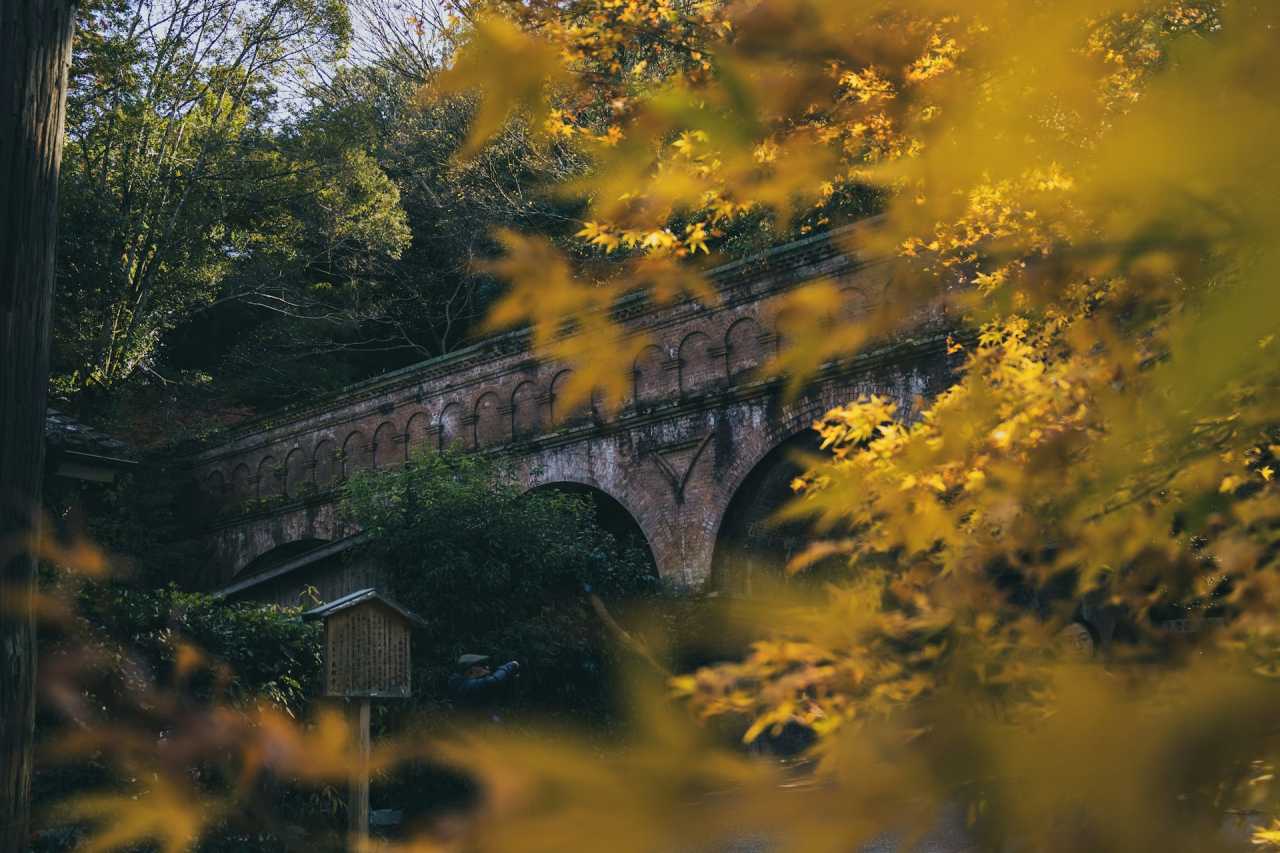 단풍 절정 교토 / 사진=unsplash