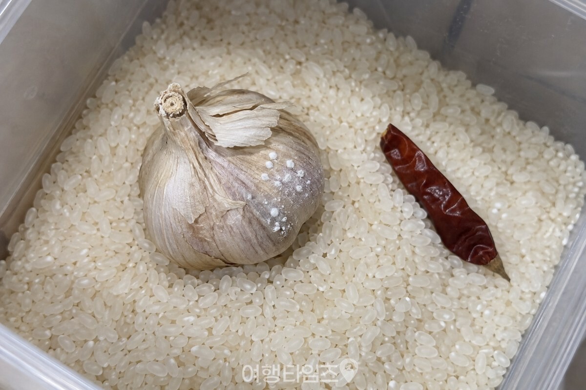 쌀통 위에 올려 둔 마늘 한 쪽의 표면에 작은 흰 점이 보인다. / 기사 이해를 돕기 위한 생성형 이미지