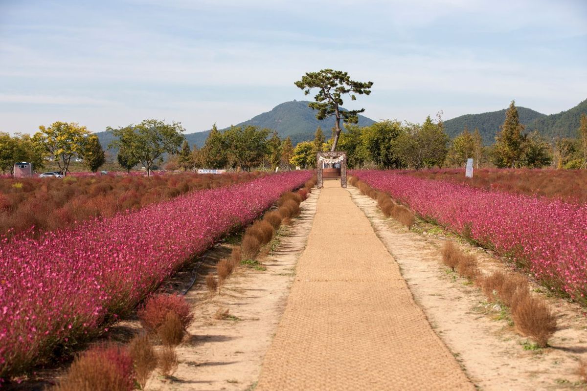 호국의병의 숲 친수공원 / 한국관광공사-송재근