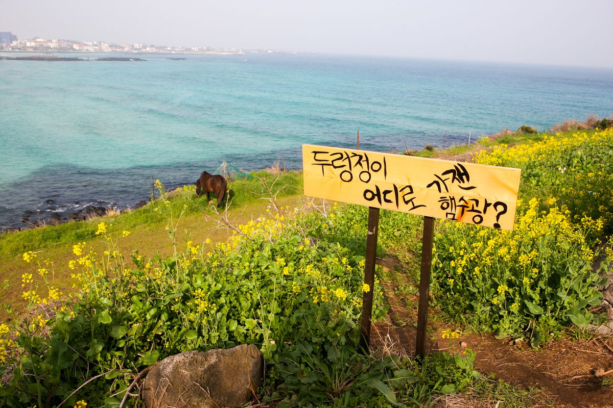 함덕 서우봉 해변 / 한국관광공사-김지호
