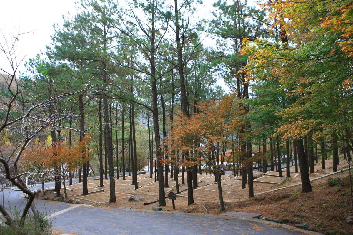 제암산자연휴양림 / 한국관광공사-김지호